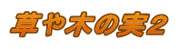草や木の実2